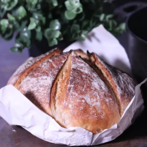 Sour Dough Breads