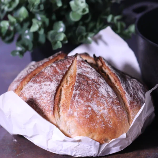 Sour Dough Breads